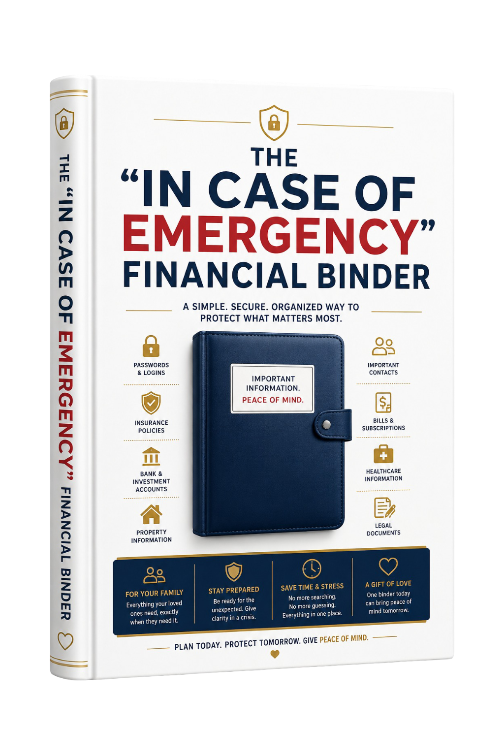 PDF digital image of the Next Step Guide Hub 'In Case of Emergency' Financial Binder, showing organized financial documents.