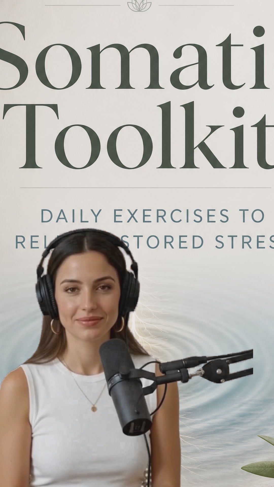 The Somatic tool kit